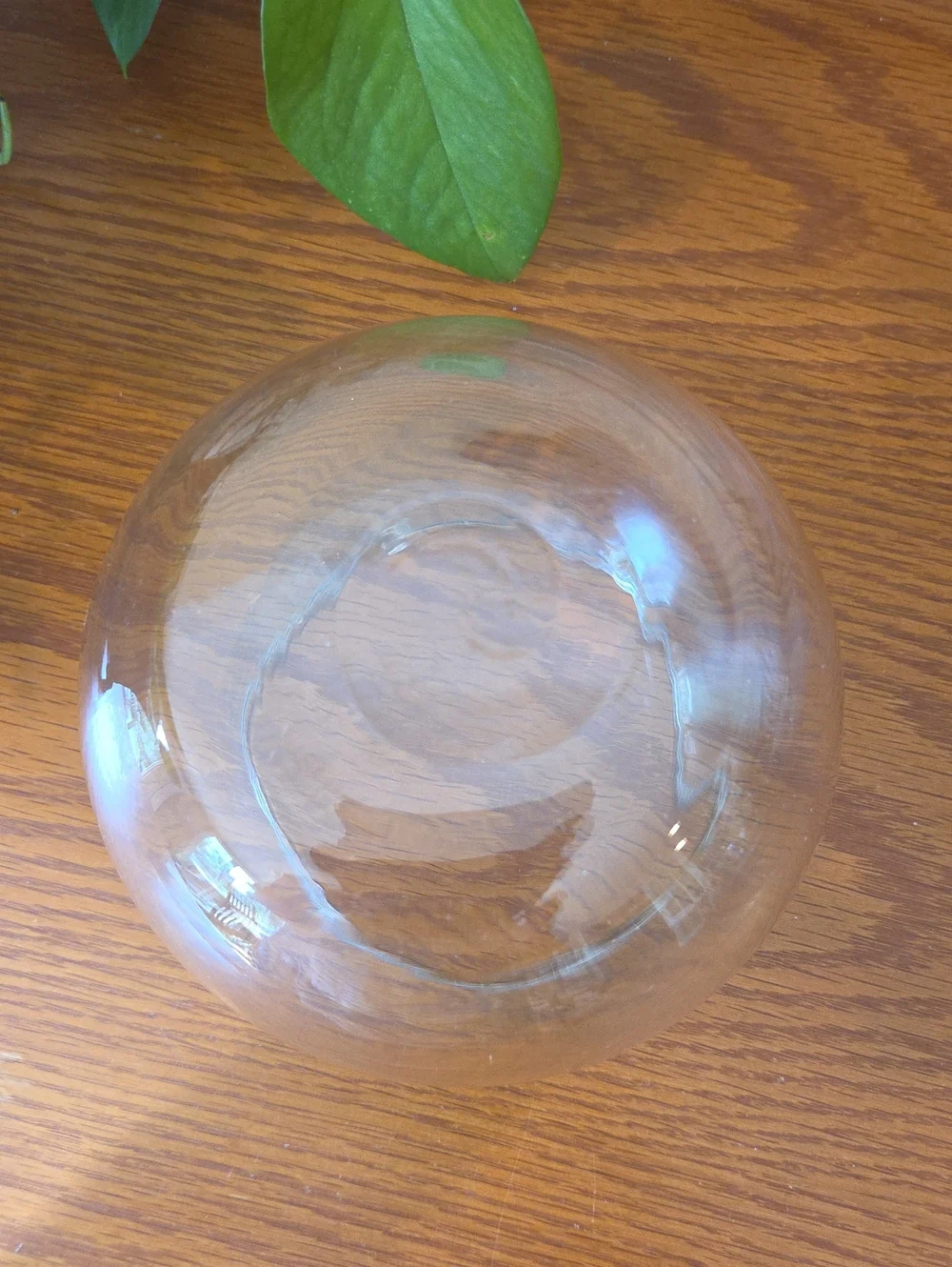Clear Glass Fishbowl Vase